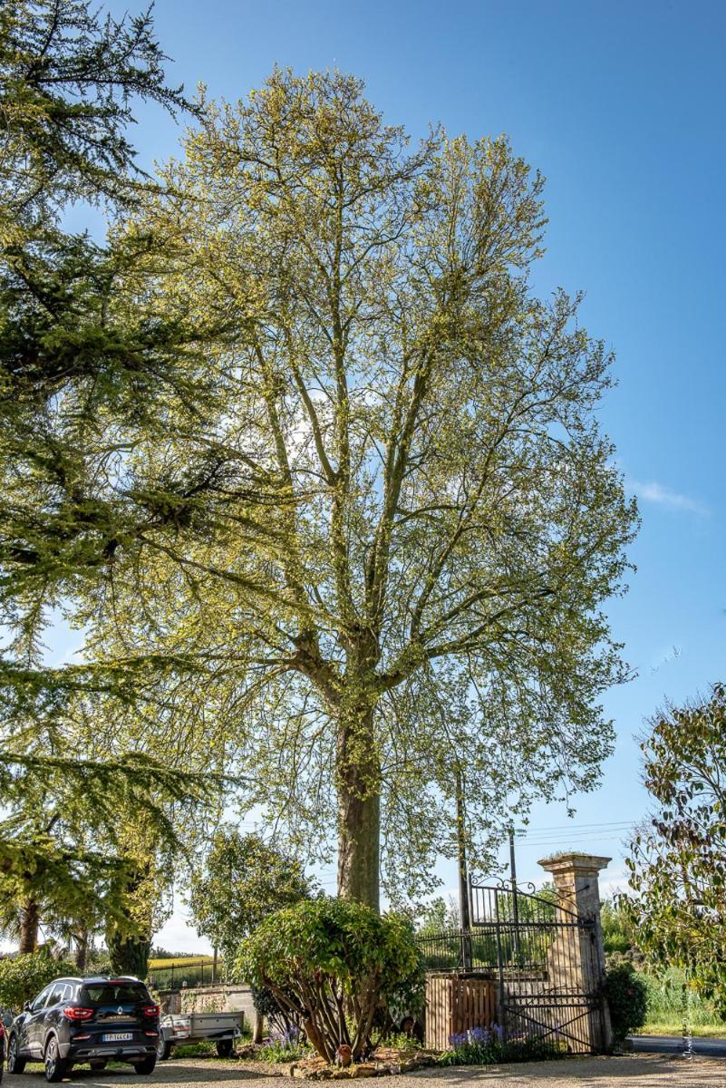 Escale Au Clos Saint Martin De Juillers Gites Et Chambres D'Hotes Exteriör bild